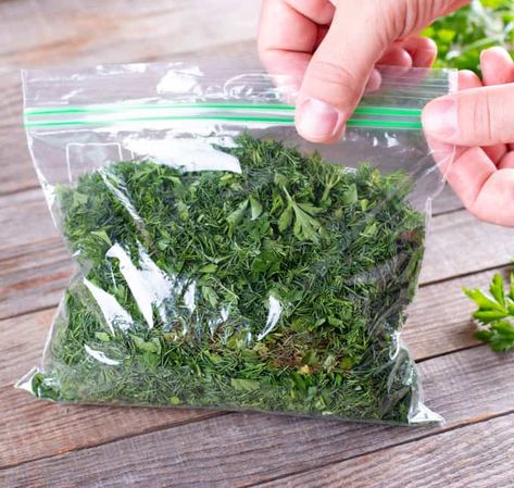 How To Freeze Greens Without Blanching How To Freeze Greens, How To Freeze Fresh Collard Greens, Freezing Beet Greens, Freezing Mustard Greens, How To Freeze Mustard Greens, How To Freeze Turnip Greens, How To Freeze Collard Greens, How To Freeze Kale, Freezing Beets