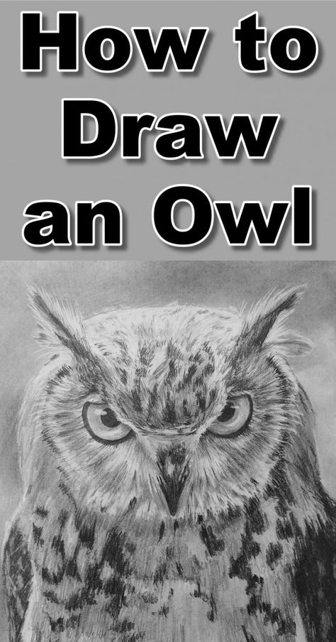 Sa Drawing, Drawing Owls, Seal Painting, Draw An Owl, Pencil Drawing Tutorial, Drawing Patterns, Realistic Eye Drawing, Piercing Eyes, Animals Drawing