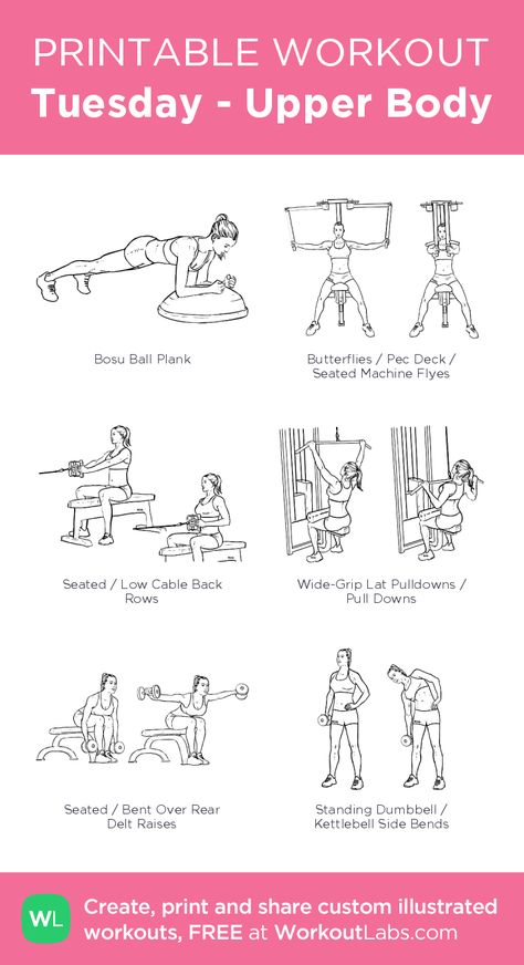 Tuesday - Upper Body – illustrated exercise plan created at WorkoutLabs.com • Click for a printable PDF and to build your own #customworkout Workout For Upper Body For Women, Gym Upper Body Workout Machines, 2 Week Gym Workout Plan, Upper Body Workout At Gym Plan, Tuesday Workout Gym, Mon-fri Workout Plan, Weekday Workout Plan Gym, Women’s Upper Body Gym Workout, Gym Workouts Women Weekly