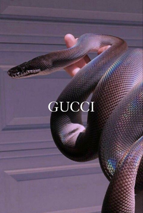 Aesthetic Productive, Snake Aesthetic, Minimalistic Luxury, Valentine Wallpaper, Vanilla Girl Aesthetic, Pinterest Wallpaper, Productive Morning Routine, Pretty Snakes, Snake Wallpaper