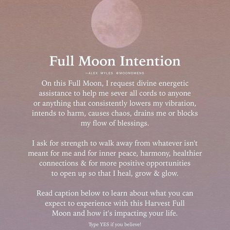 Bio About Moon, Harvest Full Moon, Full Moon Meaning, Spiritual Awakening Higher Consciousness, Yoga Teacher Resources, About Moon, Moon Meaning, Meditation Scripts, Moon Quotes