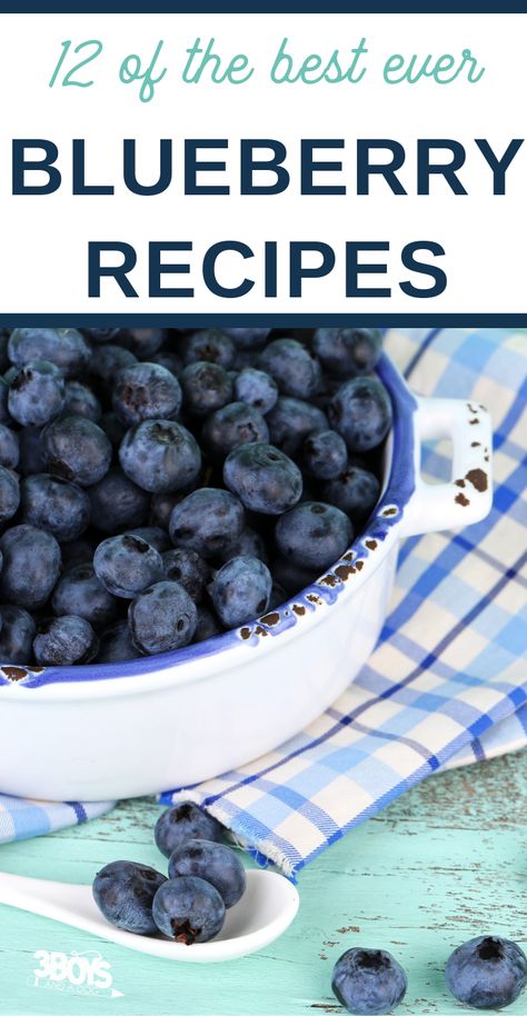 Easy Fresh Blueberry Desserts, Fresh Blueberries Recipes Easy, Fresh Blueberry Recipes Healthy, Blue Berries Recipes, Blueberry Desserts Easy, Extra Blueberries, Blueberry Recipes Easy, Easy Blueberry Crumble, Blueberries Recipes