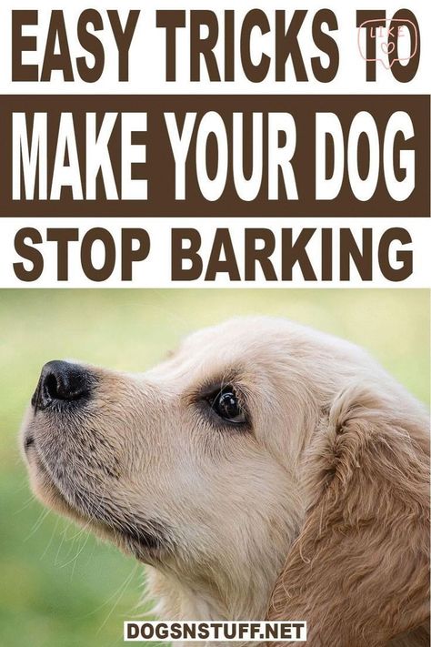 EASH TRICK TO MAKE YOUR DOG STOP BARKING Dog Stop Barking, Stop Dog Barking, Service Dog Training, Dog Behavior Problems, Basic Dog Training, Dog Training Treats, Dog Training Advice, Dog Brain, Dog Training Techniques