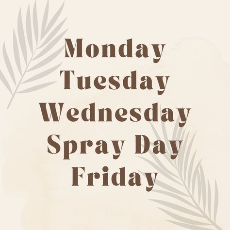 Thursday is the best day to get a spray tan for the weekend! Spray Tan Pictures, Spray Tan Marketing October, Spray Tan Post Ideas, Spray Tan Advertising Ideas, Bronzed Brunette, Esthetics Branding, Thursday Spray Tan Quotes, Spray Tan Graphic, Sunday Spray Tan Quotes