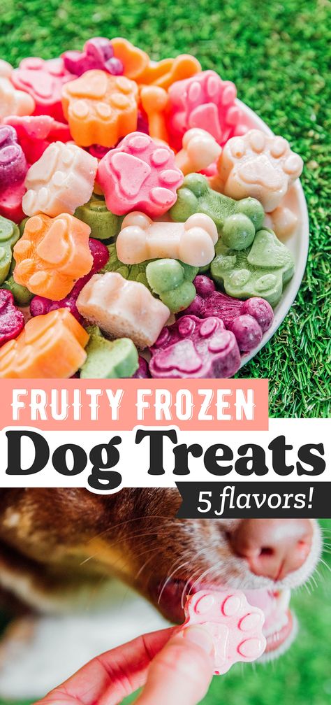 Easy Frozen Dog Treats (5 Flavors!) Dog Treats With Fruit, Cold Treats For Dogs, Fruit Treats For Dogs, Ice Dog Treats, Cold Dog Treats Homemade, Dog Treat Food Truck, Easy Frozen Dog Treats, Winter Dog Treats, Dog Freezer Treats