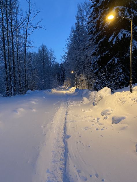 Snowy City Aesthetic, Blue Snowy Aesthetic, Snowy Forest Aesthetic, Snowy Woods Aesthetic, Snowy Road Aesthetic, Moving To Canada, I Love Snow, Snow Girl, Winter Blue