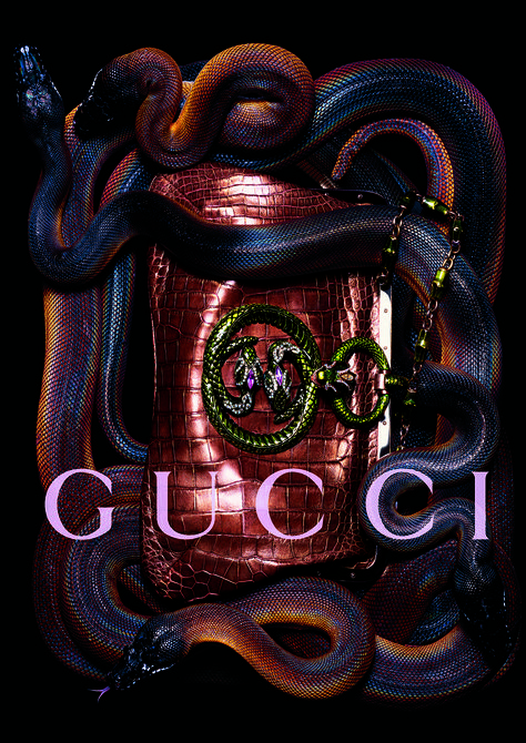 Gucci Ad, Desert Photoshoot Ideas, Gucci Campaign, Project Red, Campaign Fashion, Red Aesthetic, Animal Fashion, Snakes, Wall Collage