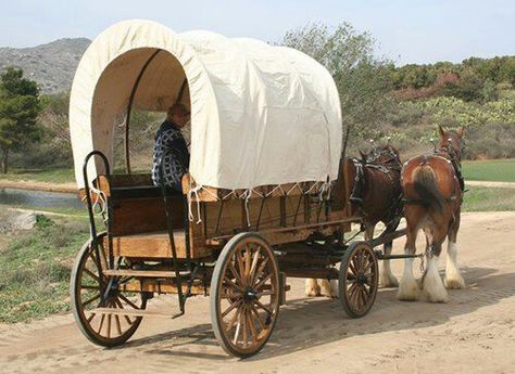 . Wagon Trails, Farm Wagons, Horse Wagon, Horse Drawn Wagon, Old Wagons, Wooden Wagon, Chuck Wagon, Wilde Westen, Covered Wagon