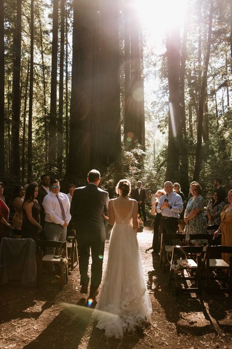 Intimate forest wedding in Santa Cruz by elopement photographer Paige Nelson, with ceremony in Henry Cowell Redwoods State Park near Felton and family style meal at Ristorante Casa Nostra in Ben Lomond. Intimate Forest Wedding Ceremony, Forest Wedding Ontario, Redwoods Wedding California, California Redwoods Wedding, Forest Wedding Elopement, Forest Wedding Portraits, Henry Cowell Redwoods State Park, Micro Wedding Inspiration, Forest Elopement Dress