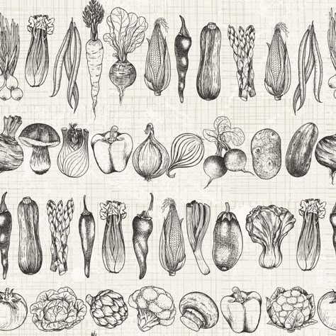 VEGETABLES 1420 Vegetable Tattoo, Culinary Tattoos, Horizontal Background, Chef Tattoo, Van Kitchen, Vegetable Drawing, Kitchen Walls, Desenho Tattoo, Food Drawing