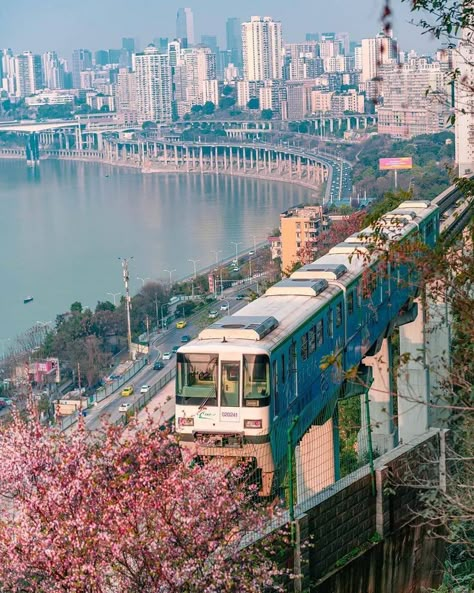 Japanese Wallpaper, Chongqing China, China City, Chongqing, Dream City, China Travel, City Aesthetic, Travel Goals, Travel Inspo