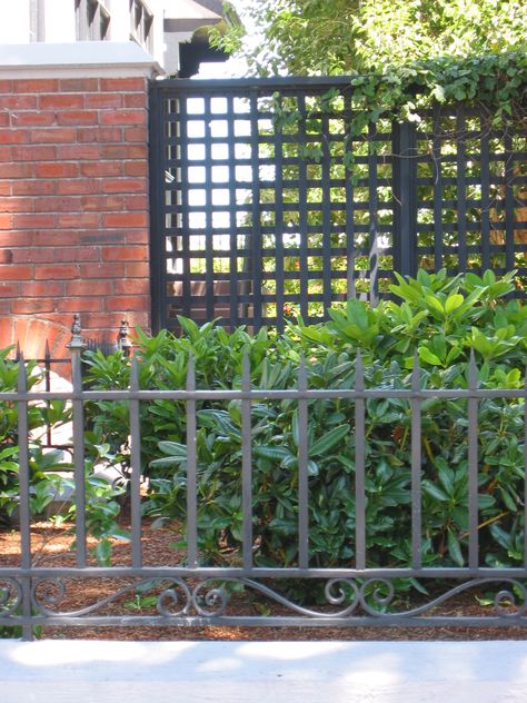 The black lattice fence could be nice too with greenery in front/back along the grass and drive - classic lattice fence | love the dark charcoal next to the brick Black Lattice Fence, Lattice Over Chain Link Fence, Lattice On Chain Link Fence, Lattice Fence On Brick Wall, Wood Fence With Lattice Top, Garden Ideas Cheap Easy, Lattice Privacy Fence, Backyard Hardscape, Fence Cover