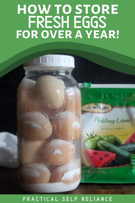 Storing Fresh Eggs, Preserve Eggs, Self Sufficient Living, Preserving Eggs, Survival Food Storage, Storing Eggs, Emergency Preparedness Food, Salt Block, Home Canning Recipes