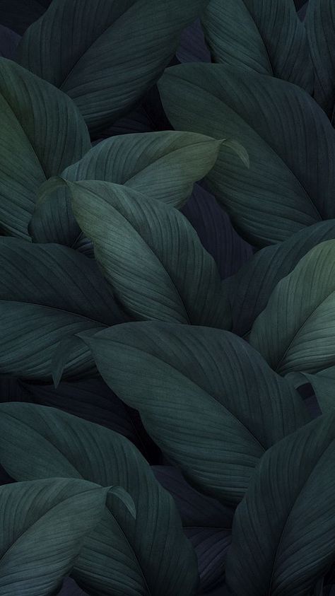 Dark leaf mobile wallpaper | premium image by rawpixel.com / Benjamas Tropical Leaves Illustration, Leaf Mobile, Magical Jungle Johanna Basford, Wallpaper Leaf, Wallpaper Background Design, Mobile Wallpaper Iphone, Illustrator Design Tutorial, Floral Wallpaper Iphone, Leaves Illustration