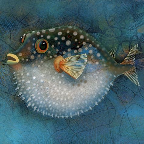 Puffer Fish Painting, Puffer Fish Art, Fish Reference, Blow Fish, Pencil Artwork, Watercolor Fish, Puffer Fish, Paint Projects, Art Painting Gallery