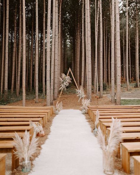 Wedding Aisle Decorations Outdoor, Wedding Pampas, Pampas Grass Wedding, Minnesota Wedding Venues, Wedding Alters, Wedding Isles, Natural Aesthetics, Aisle Runner Wedding, Grass Wedding