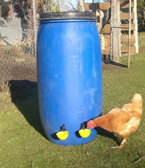 Homemade Chicken Feeder, Chicken Watering System, Chicken Waterer Diy, Chicken Water Feeder, Chicken Coop Plans Free, Chicken Feeder Diy, Squirrel Proof Bird Feeders, Chicken Waterer, Poultry House