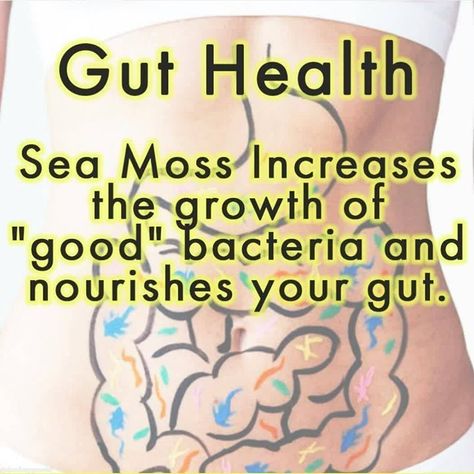 Sea Moss 🌱 Healthy Living on Instagram: “Did you know Seamoss helps with gut health which boost your immune system. • ⁣ #drsebi #drsebiapproved#fasting…” Dr Sebi, Sea Moss, Immune System, Gut Health, Did You Know, Healthy Living, Health, Instagram