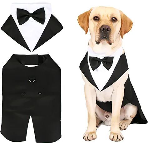 Dog Tuxedo Formal Suit Clothes Bandana Set, Pet Prince Wedding Attire Party Shirt Bow Tie Outfit Wedding Tux for Large Medium Dogs Golden Retriever Costumes Golden Retriever Costume, Bow Tie Outfit, Prince Wedding, Tie Outfit, Dapper Suits, Suit Clothes, Wedding Tux, Dog Tuxedo, Wedding Coat