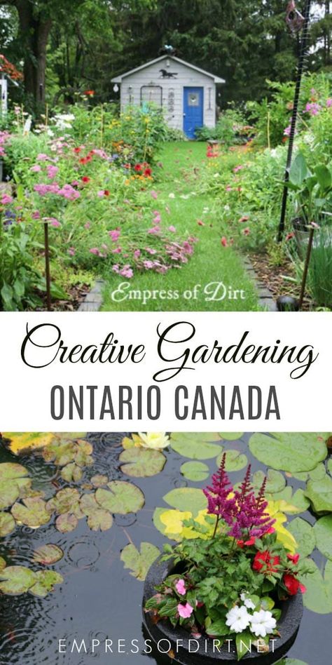 Life as a gardener in Ontario, Canada growing flowering perennials, fruit trees, veggies, and more. #gardening #garden #gardeners #gardenblog #ontario #canada #coldclimategarden #empressofdirt #gardenontario #lifeasagardener #gardenideas #creativegardeningn #gardeninspiration Fruit Trees Backyard, Cold Climate Gardening, Flowering Perennials, Long Blooming Perennials, Full Sun Perennials, Perennial Shrubs, Creative Gardening, Native Garden, Fruit Garden