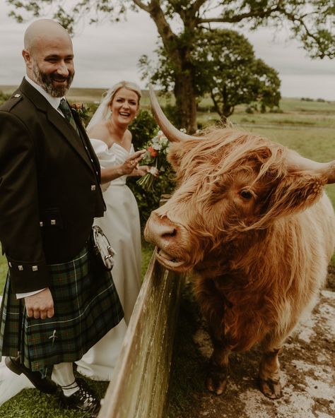 It was a middle of the August this year, and the most autumnal weather which can possibly take place in the middle of a summer in Scotland. Wind, lots of wind, grey skies… and incredible happiness of these two. After receiving their wedding photos they said: “Hi Lena! We love them! ❤️ thank you so so much! Family & friends who have seen them love them also! ❤️ you captured our day perfectly, thank you 🫶🏻 xx” 🥰🥰🥰 Scottish Highland Wedding, Scottish Highlands Wedding, Summer In Scotland, Welsh Wedding, Wedding Scotland, Scottish Weddings, Scottish Elopement, Yorkshire Wedding, Highland Wedding