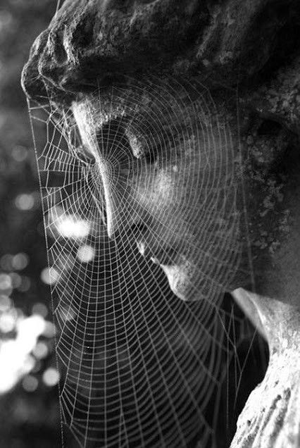 Bill Brandt Photography, Web Face, Classic Photography, Antique Images, Hanging Garden, Diy Halloween Decorations, Light Photography, Spider Web, Cemetery