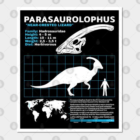 Dinosaur Facts, Shorebirds, Fact Sheet, Tyrannosaurus Rex, Tapestry Design, Data Sheets, Dinosaurs, Sticker Sheets, Funny Stickers