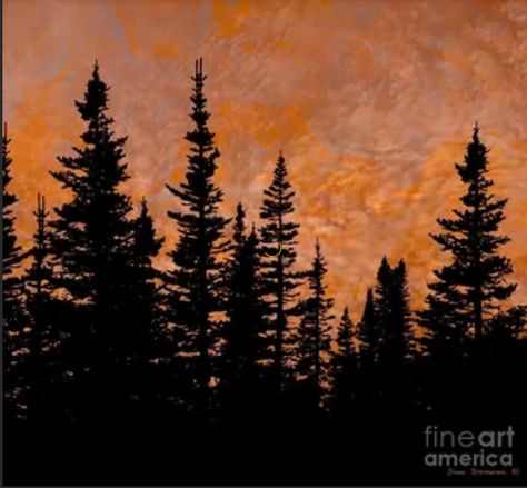 Evergreen Silhouette, Painting Vans, Tree Silhouette Sunset, Forest Schools, Tree Drawing Simple, Silhouette Artist, Snowboard Art, Landscape Silhouette, Pine Tree Silhouette