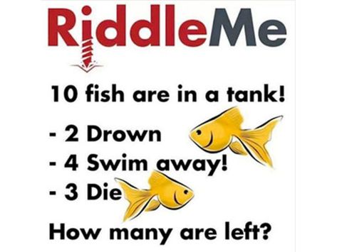 Impossible Riddles, Funny Riddles With Answers, Brain Teasers Riddles, Tricky Riddles, Riddles To Solve, Trick Questions, Math Riddles, Funny Riddles, Jokes And Riddles