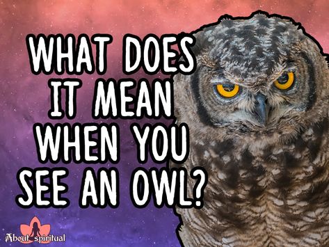 Owls Meaning, Meaning Of Owls, Seeing An Owl Meaning, Owl Symbolism Meaning, What Does An Owl Symbolize, Owl Spirit Animal Meaning, Owl Meaning Spiritual, White Owl Spiritual Meaning, Hearing An Owl Meaning Spiritual