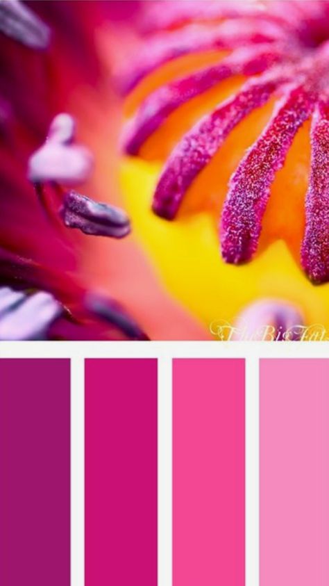 Bright Wedding Colors, Indian Colours, Wedding Colors Purple, Color Schemes Colour Palettes, Pink Palette, Color Palette Pink, Color Palate, Color Palette Design, Color Inspo