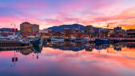 For the first time in 20 years, Air New Zealand has started flying to Tasmania — and it could be the island escape many have been waiting for. Hobart City, Bruny Island, Air New Zealand, St Helens, Wildlife Sanctuary, Holiday Pictures, Safe Travel, Hobart, What To Pack