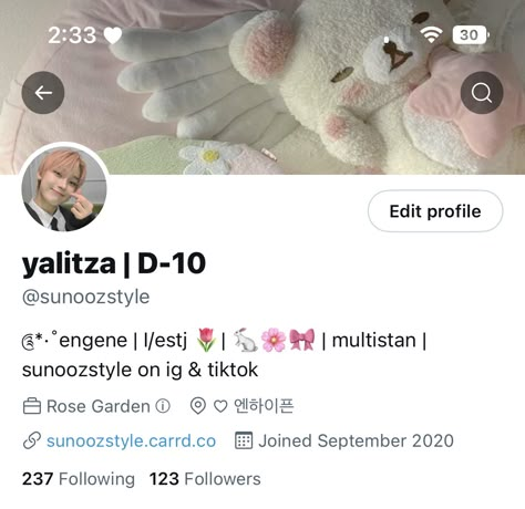 Twitter Kpop Layout, Twitter Aesthetic Bio, Twitter Bio Ideas Aesthetic Kpop, Enhypen Bio Ideas, Twitter Account Ideas, Twitter Layout, Twitter Bio, Profile Ideas, Username Ideas