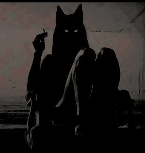 Black Cat, We Heart It, The Story, Wattpad, Black