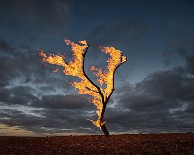 Burning Tree Allandale Station Interior Lamps, Fire Drawing, Decor Lights, Lighting Art, Fire Image, No Bad Days, Lights Home, Home Handmade, Art Interior