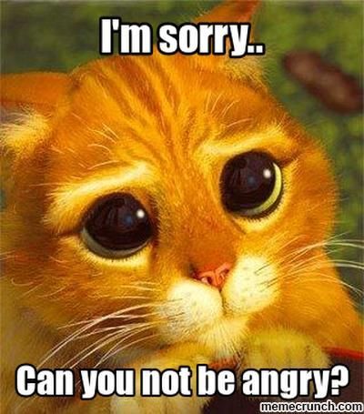 Im Sorry Meme, Sorry Memes, Cat Post, I M Sorry, Im Sorry, Cat Cards, Photo Apps, Shrek, Best Memes