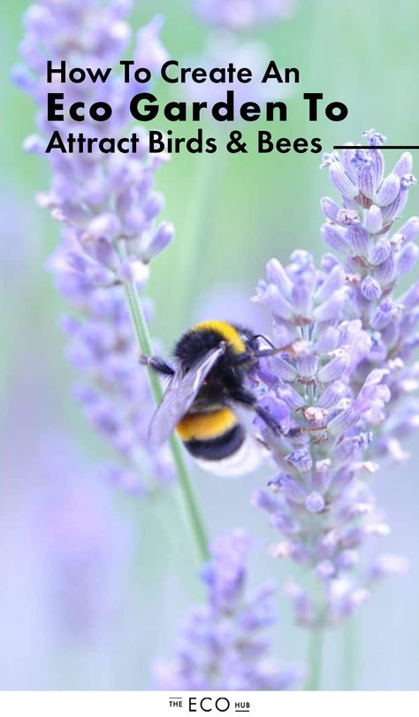 Autumn Flowering Plants, Frugal Gardening, Creative Ways To Save Money, Bee Friendly Garden, Eco Garden, Herb Garden Design, Wildlife Garden, Birds And Bees, Eco Friendly Garden