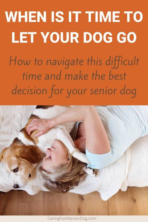 When Is It Time to Let Your Dog Go - Caring for a Senior Dog Losing Your Best Friend, It's Time To Say Goodbye, Difficult Decisions, Love Your Pet, Older Dogs, To Say Goodbye, Beloved Dog, Senior Dog, Quality Of Life