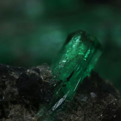 A heavy Colombian emerald crystal specimen.🍃 #crystalgem #emeralds #thumbnailspecimens #colombianemerald #colombianemeralds #naturalemerald #naturalemeralds #thumbnailsketch #emeraldspecimen #gemspecimen #gemstonespecimen #terminatedemerald #emeraldmatrix #emeraldcalcite #calcitecrystal #roughemerald #roughgems #roughgemstone #emeralds #emerald #loosemerald #loosegemstones #emeraldjewelry #emeraldjewellery #祖母绿 #zamrudcolombia #smaragd Emerald Aesthetic Gem Stone, Emerald Asethic, Emerald Gemstone Aesthetic, Emerald Crystal Aesthetic, Emerald Aesthetic Gem, Emeralds Aesthetic, Emerald Photography, Emerald Aesthetic, Dark Green Crystal