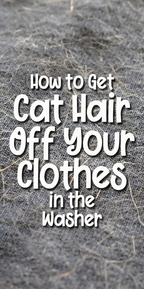 How to Get Cat Hair off Your Clothes in The Washing Machine How To Get Cat Hair Off Clothes, How To Get Pet Hair Off Clothes, How To Get Dog Hair Off Clothes, Pet Hair Removal Laundry, Diy Washing Machine, Cat Advice, Cat Hair Removal, Cat Cleaning, Clean Washing Machine