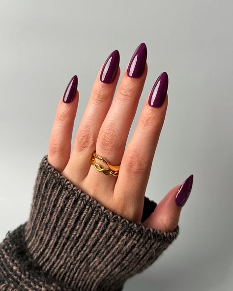 Lights Lacquer, Home for the Harvest 🧺 The purple we’ve been missing 😍💜 Figgy Delight, a plum purple polish with a creme finish • use code COLORNOOK to save on your purchase @lightslacquer • use code THECOLORNOOK to save on your purchase @nominal #lightslacquer #homefortheharvest #fallnails #fallnailcollection #nailpolishswatch #nailswatch #nailinspo #purplenails #fignails #auberginenails #figgydelight purple crème nail polish autumn fall Reddish Purple Nails, Brown Purple Nails, Autumn Nails Purple, Fall Nails Plum, Wine Purple Nails, Dark Purple Fall Nails, Aubergine Nails, Purple Autumn Nails, Plum Purple Nails