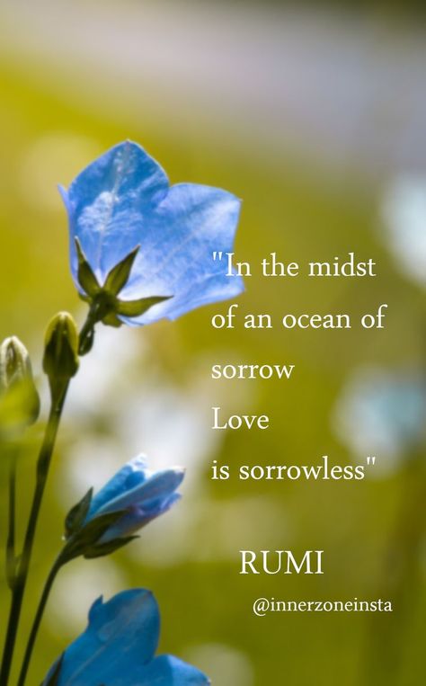 every emotion is sometimes overshadowed by sorrow except love. "for Love is not an emotion it is the reason of your creation" . . . #rumi #mevlana #maulanarumi #love #poetry Quotes By Rumi, Shams Tabrizi, Rumi Poetry, Rumi Love Quotes, Rumi Love, Sacred Science, Uplifting Words, Rumi Quotes, Love Poetry