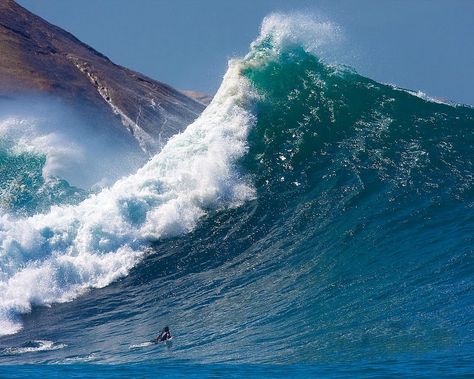 Talk about catch a wave Scary Ocean, Rogue Wave, Big Surf, Big Wave Surfing, Huge Waves, Soul Surfer, Big Scary, Stormy Sea, Surfing Waves