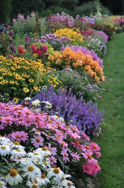 Country Flower Garden Ideas, Wildflower Backyard Landscaping, Uk Flower Beds, Desert Flower Garden, Flowers Around House, Flower Border Garden, Flower Garden Inspiration, Personal Garden, Flower Garden Plans