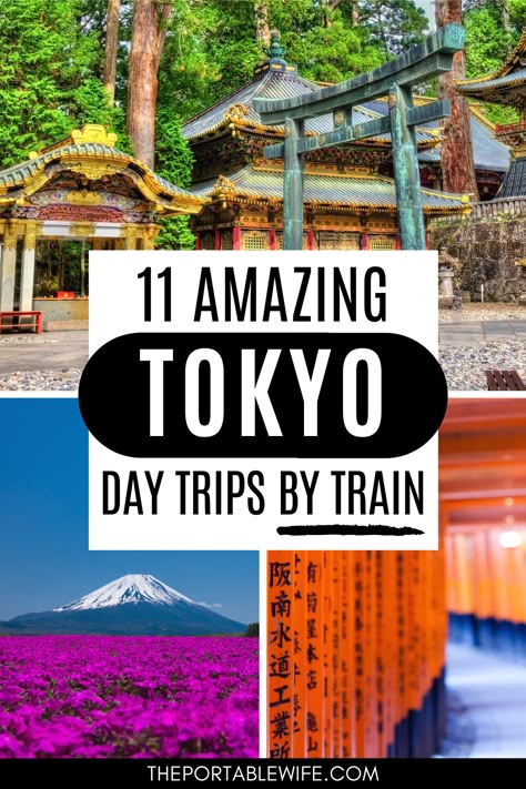 Jr Pass Japan, Japan Itinerary 8 Days, Best Day Trips From Tokyo, 7 Days In Japan, Tokyo Japan Itinerary, Tokyo And Kyoto Itinerary, Japan 5 Days Itinerary, Day Trip From Tokyo, Trips To Japan