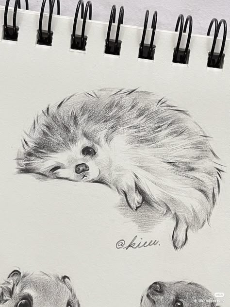 #sketch Dream Pencil Drawing, Animal Surrealism Art, Aesthetic Drawing Ideas Pencil, Napkin Drawings Sketch, Sketches Pencil Animals, Hedgehog Drawing Realistic, Cool Animal Sketches, How To Sketch A Horse, Cute Fox Sketch