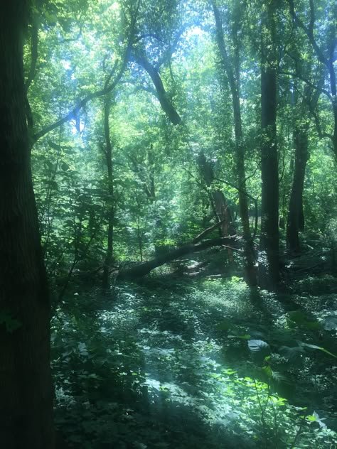 Nature dream woods aesthetic #nature #ethereal #woods #aesthetic Light Woods Aesthetic, Eretheral Aesthetic, Oneirataxia Aesthetic, Jakobcore Aesthetic, Artificial Nature Aesthetic, Wood Core Aesthetic, Selma Core Aesthetics, Magical Woods Aesthetic, Magical Nature Aesthetic