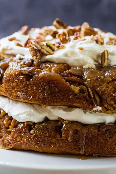 Praline Cake Recipe, Pumpkin Praline, Spicy Southern Kitchen, Praline Cake, Southern Kitchen, Fall Spices, Pumpkin Dessert, Pumpkin Cake, Pumpkin Fall