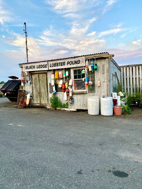 Fish Shack, Surf Cafe, Bait Shop, Lobster Shack, Fishing Shack, Bar Harbor Maine, Beach Cafe, Maine Lobster, Dollhouse Ideas