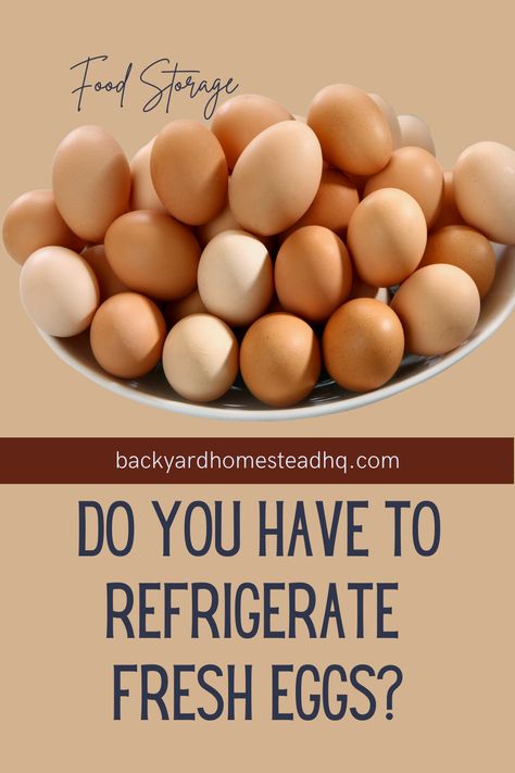 Unwashed Eggs Chart, Fresh Egg Storage Ideas, Egg Chart, Storing Eggs, Freezing Eggs, Bad Eggs, Pickled Eggs, Egg Container, Farm Living